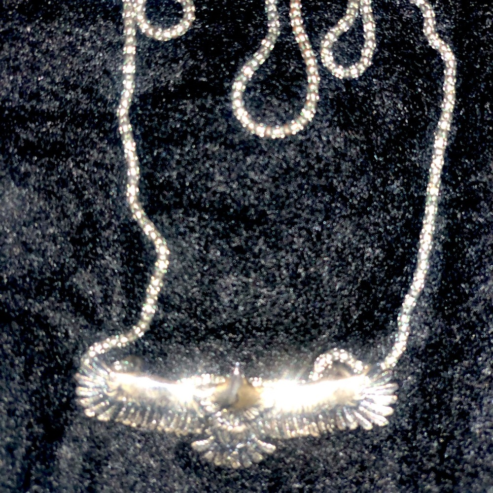 Silver eagle (open wingspan) necklace.